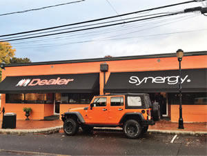 Dealer Synergy Diversity #1